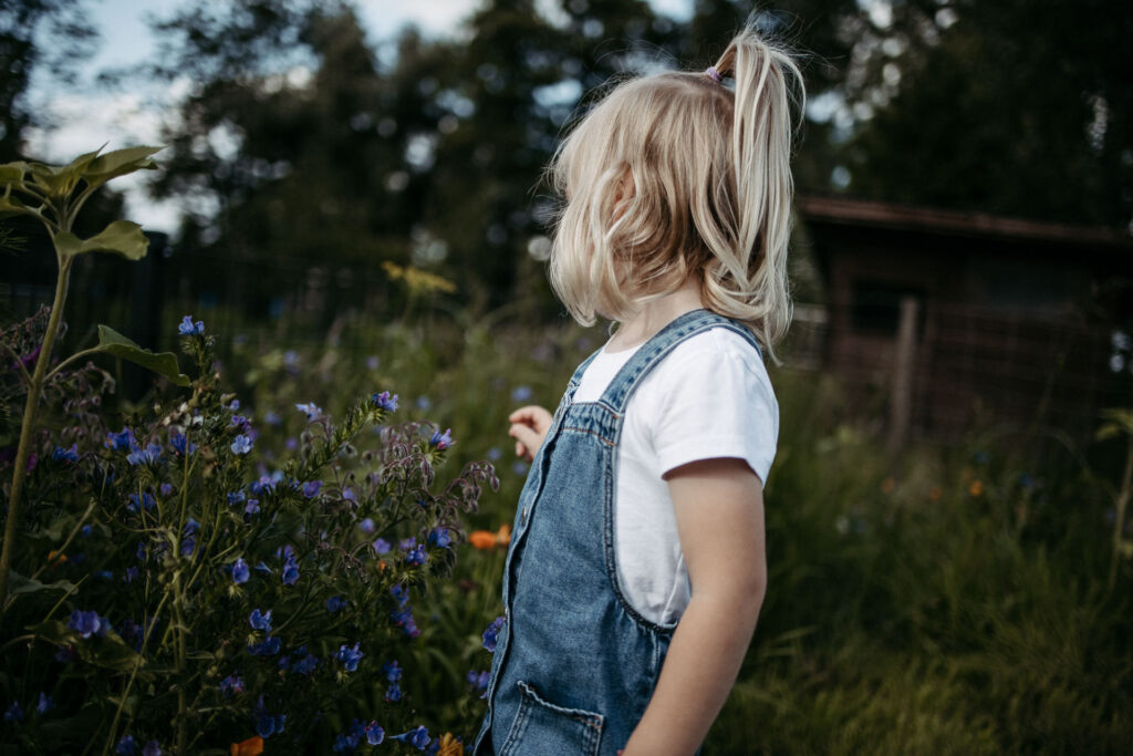 Familienfotografie Hamburg. Ein blondes Mädchen spielt mit Blumen auf der Wiese.
